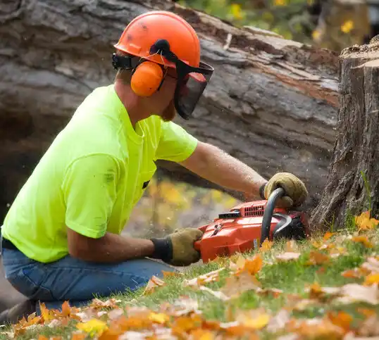 tree services Centre Island